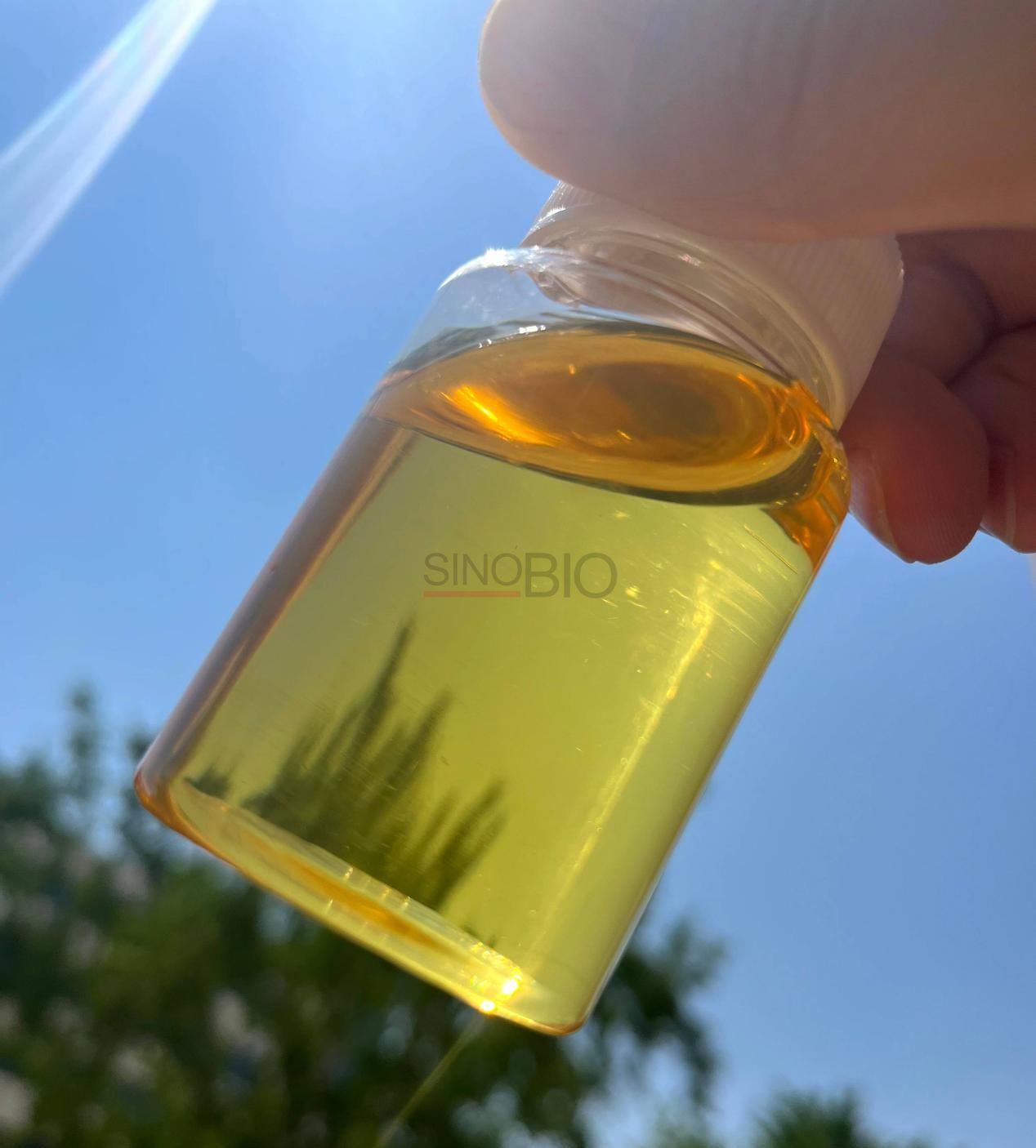 ПИБСА (полиизобутенилянтарный ангидрид) (2)