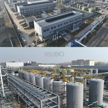 China-Factory-Sinobio-Whosale-1-Hydroxyethylidene-1-HEDP-60-CAS-No-2809-21-4.jpeg