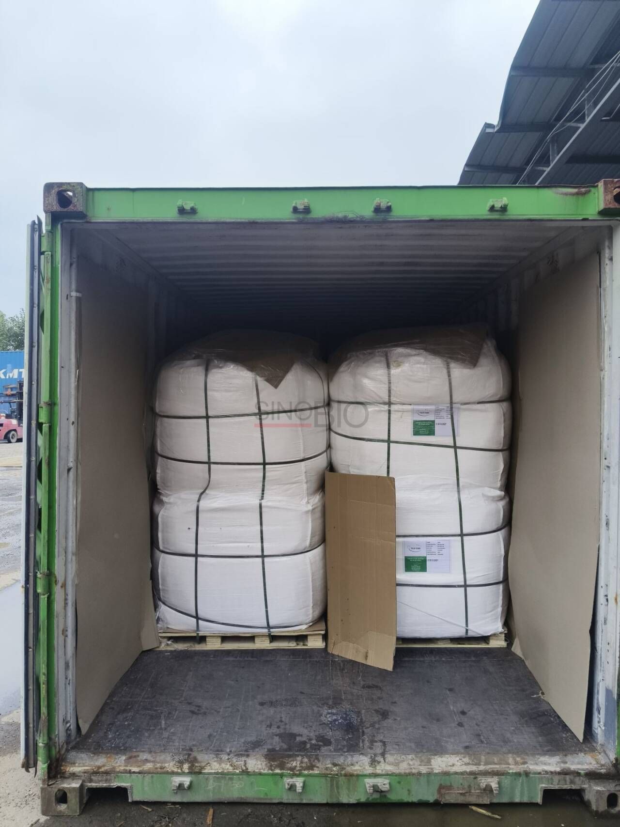 Пакет с лактатом кальция (2) 