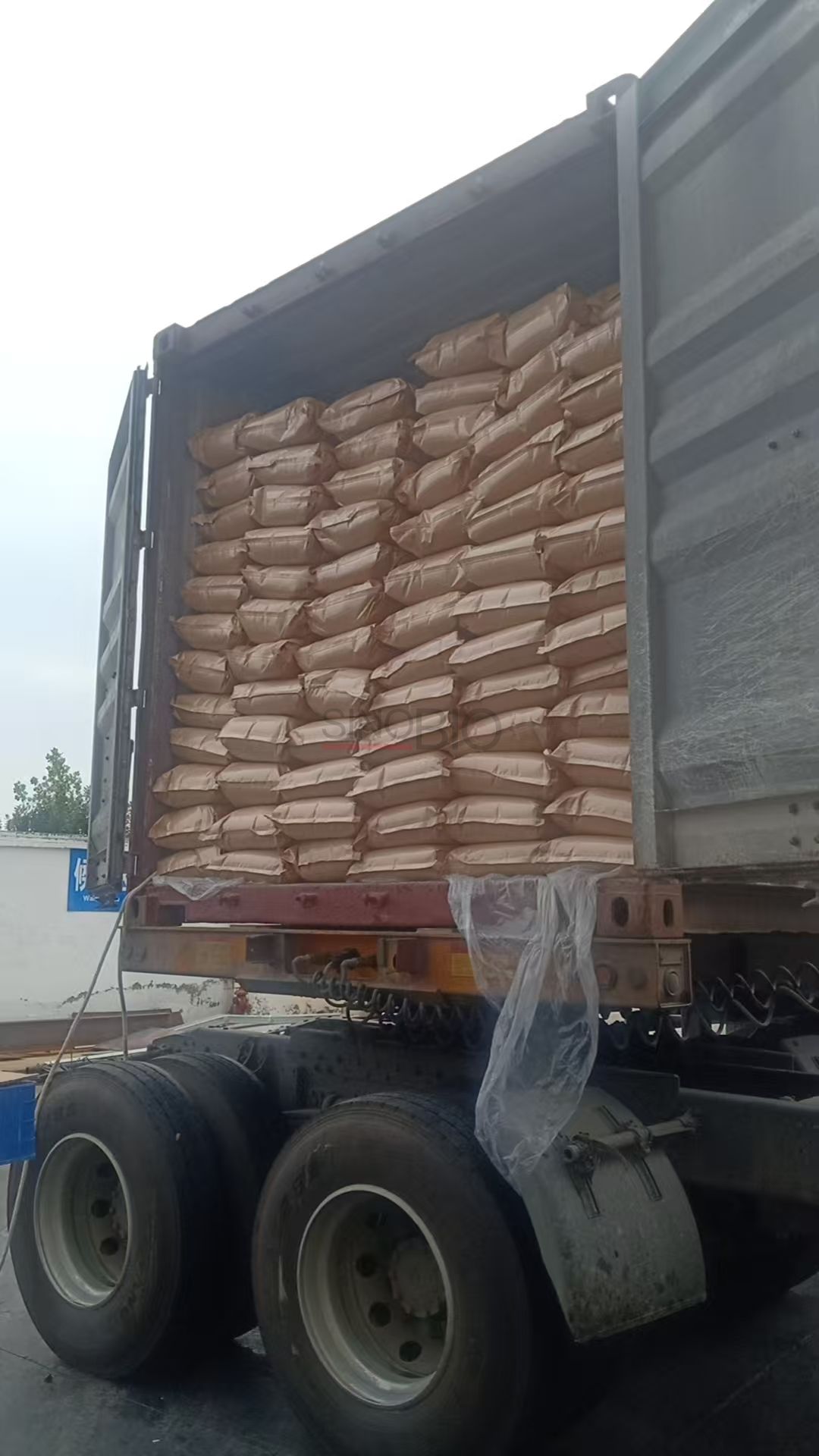 Пакет с лактатом кальция (1)