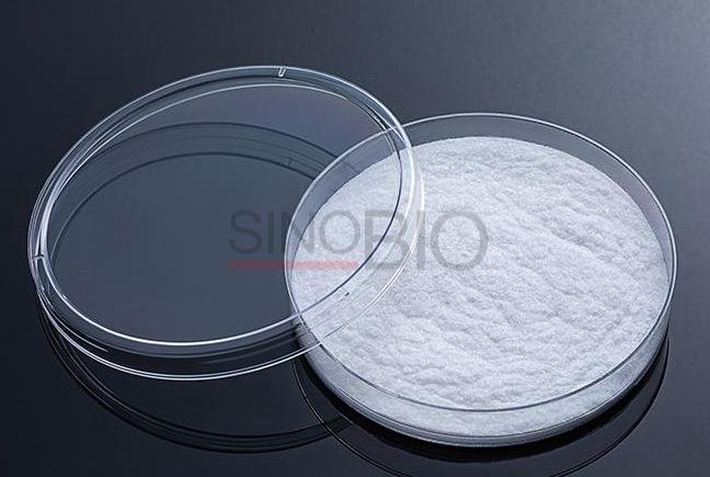 L-Proline amino acid powder CAS 147-85-3 for industrial applications.png